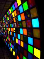 Ein Blick auf eine Wand im Wagen 11  nat�rlich und k�nstlich  vom Science Express.