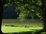 Hans im Libellenparadies.