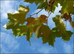 Herbst.