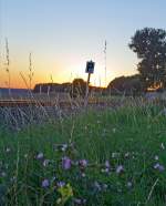 Sonnenuntergang an der Oberwesterwaldbahn (KBS461)...